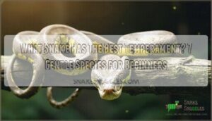 what snake has the best temperament