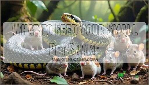 View of Top 8 Small Snakes to Keep as Pets: Best Beginner-Friendly Species