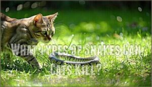 what types of snakes can cats kill