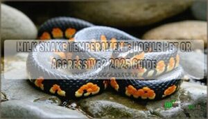 whats the temperament of a milk snake