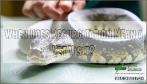 when does regurgitation mean a vet visit