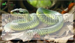 when not to pet a snake