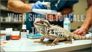 when should you call the vet