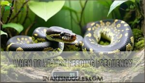when to adjust feeding frequency