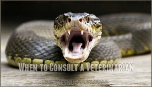 when to consult a veterinarian