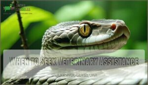 when to seek veterinary assistance