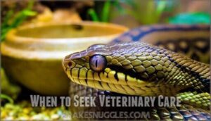 when to seek veterinary care