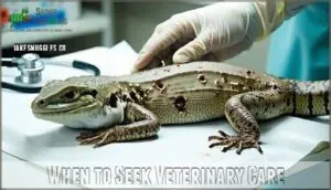 when to seek veterinary care when to seek veterinary care