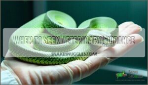 when to seek veterinary guidance