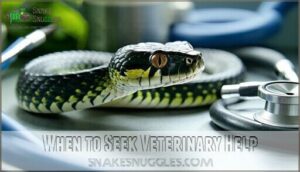 when to seek veterinary help