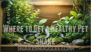 where to get a healthy pet snake