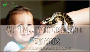 why ball pythons are not venomous