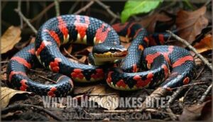 why do milk snakes bite
