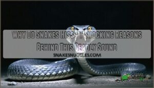 why do snake hiss