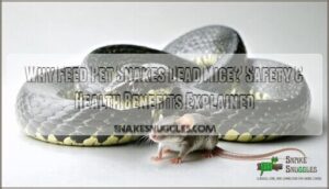 why feed pet snakes dead mice