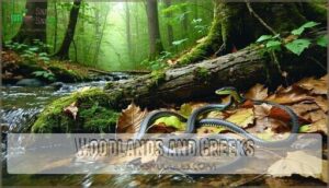 woodlands and creeks