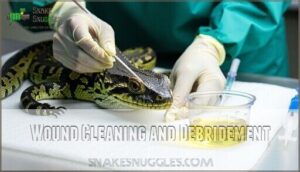 wound cleaning and debridement