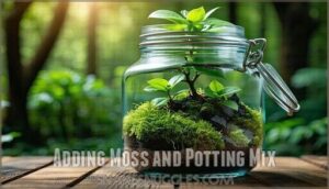 adding moss and potting mix