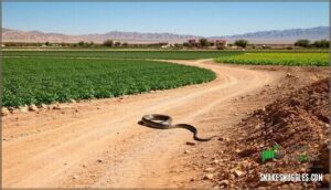 agricultural lands and human settlements