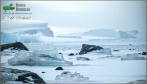 antarctica’s extreme cold