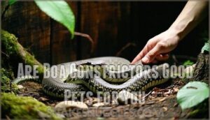 are boa constrictors good pets for you