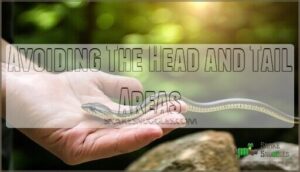 avoiding the head and tail areas