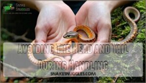 avoiding the head and tail during handling