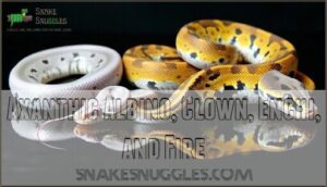 axanthic albino, clown, enchi, and fire