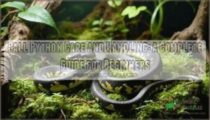ball python care and handling