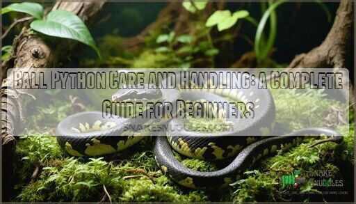 Ball Python Substrate Options: 10 Best Beddings & 5 to Avoid in 2025