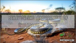 behavior and temperament of children's pythons