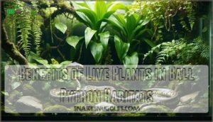 benefits of live plants in ball python habitats