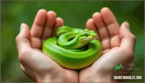best practices during snake handling