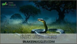 black mamba venom