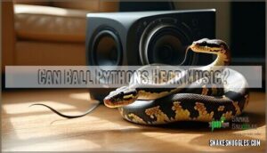 can ball pythons hear music