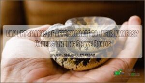 can pet snakes be affectionate to their owners can pet snakes be affectionate to their owners