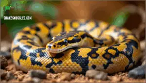 change in skin coloration or appearance