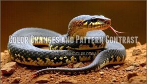 color changes and pattern contrast