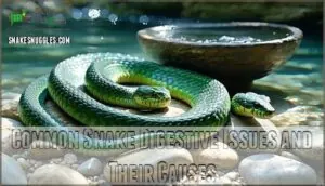 common snake digestive issues and their causes common snake digestive issues and their causes