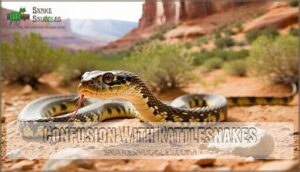 confusion with rattlesnakes