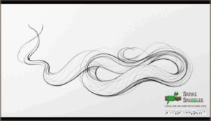 creating curved body lines