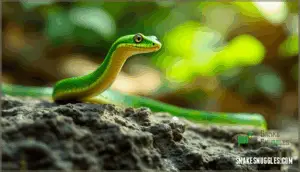 defensive responses and freezing