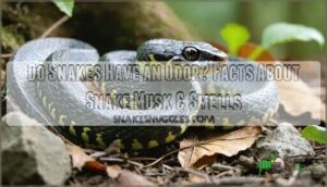 do snakes have an odor