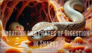 duration and phases of digestion in snakes