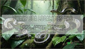 dwarf boa localities and associated morphs