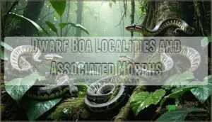 dwarf boa localities and associated morphs dwarf boa localities and associated morphs