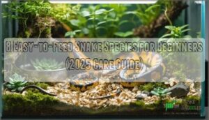 easy to feed snake species