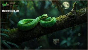 emerald green pit viper