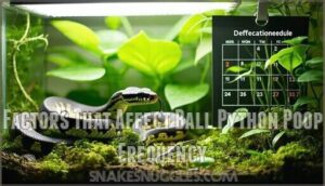 factors that affect ball python poop frequency