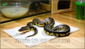feeding and diet guidelines